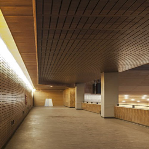 Ranurado5